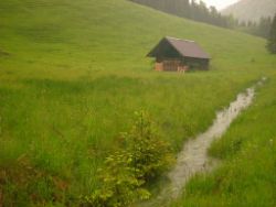 2013-06-01_Regina-F-Rau_Staffelalm_Hochwasser (025).JPG